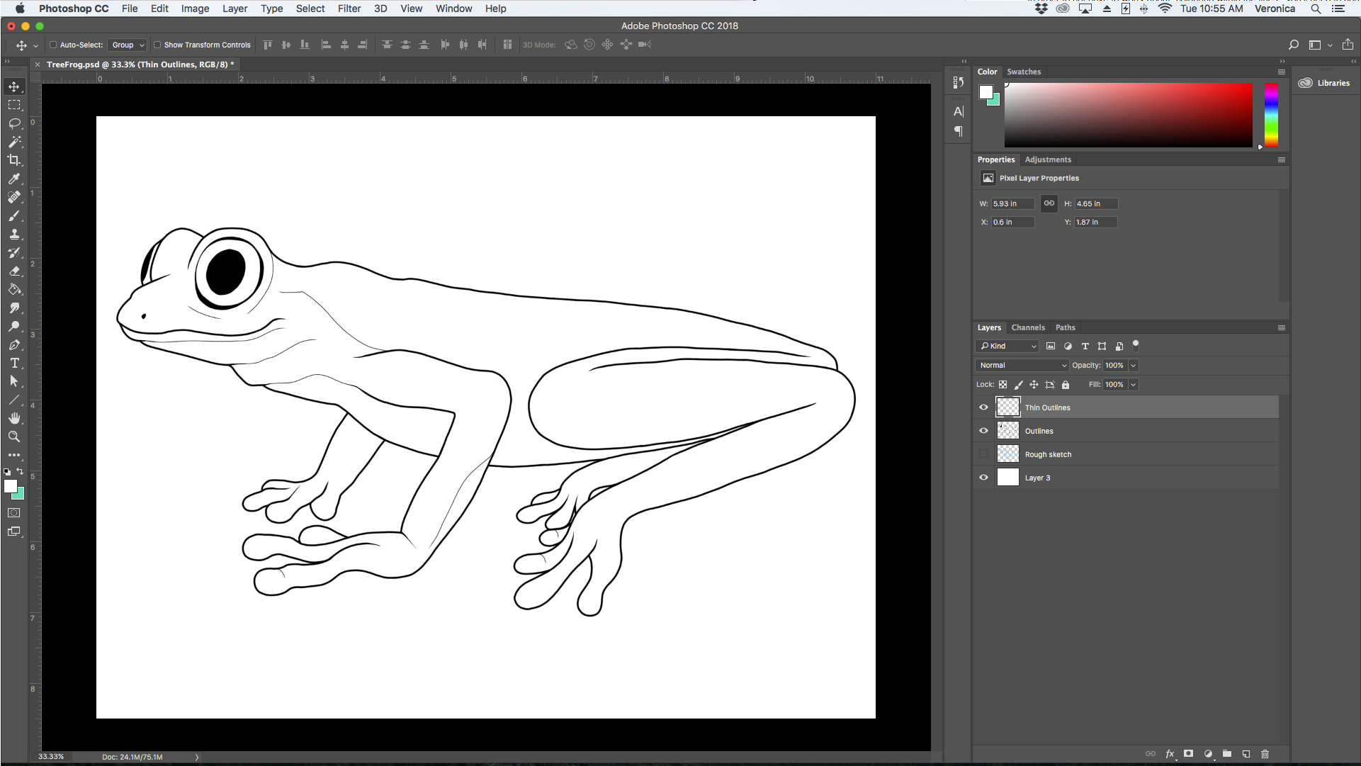 TreeFrog-Outlines-1