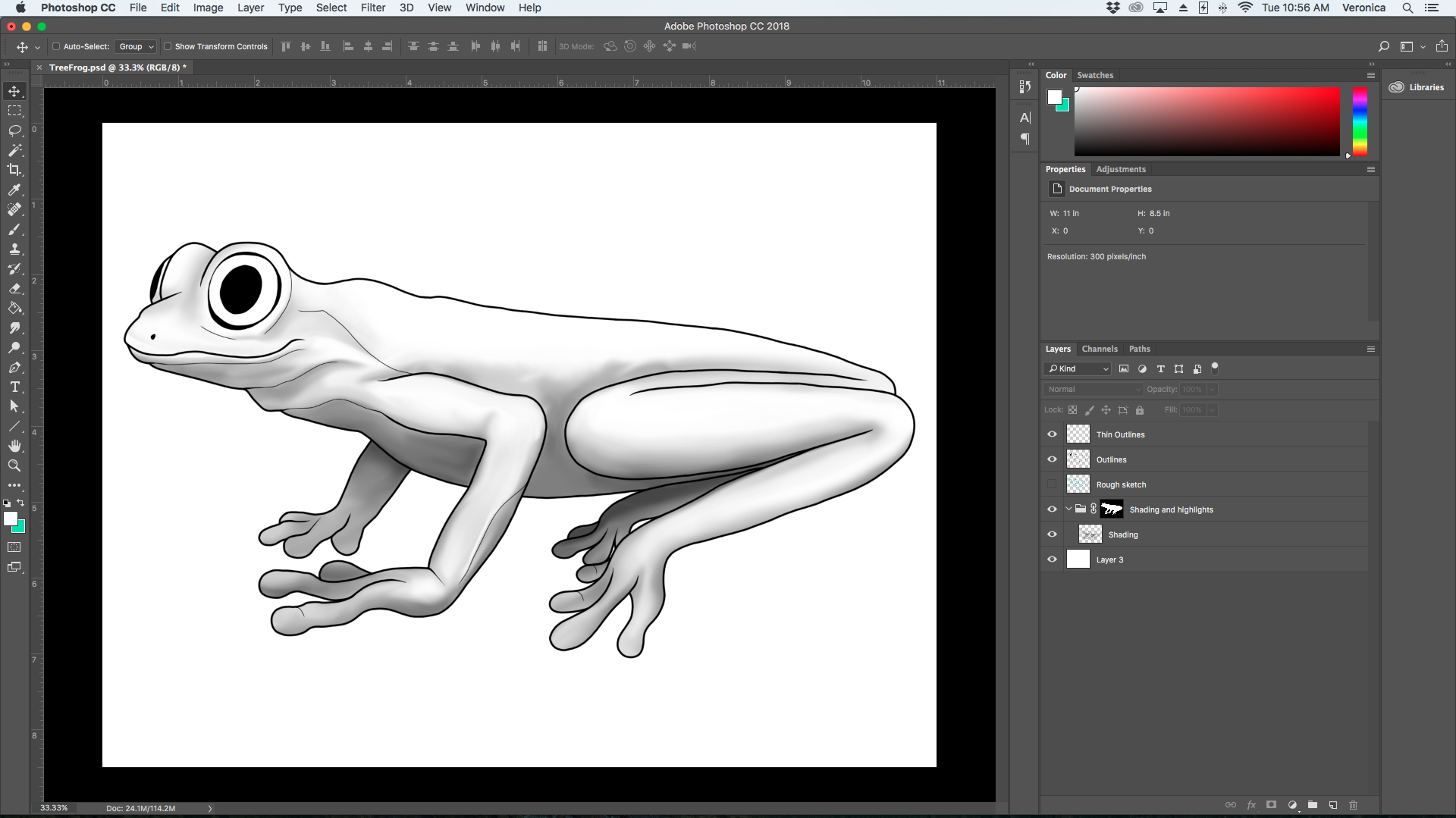 TreeFrog-Shading-1