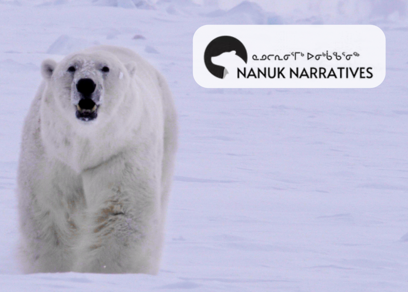 Case Study: Nanuk Narratives